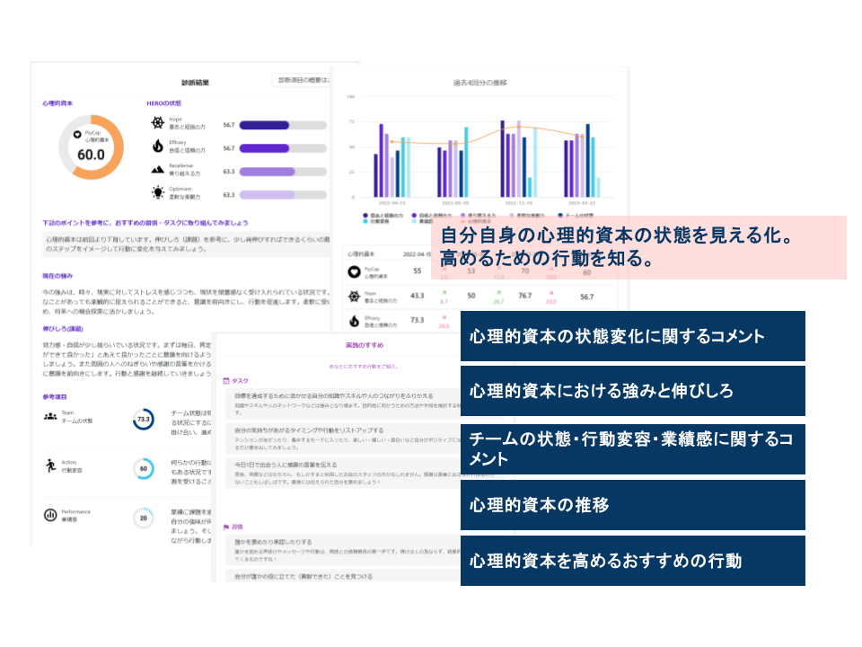 HEROIC診断 画面イメージ